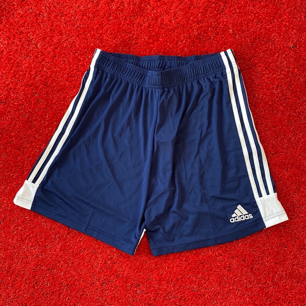 NWT Adidas DP3245 TASTIGO19 SHOW shorts